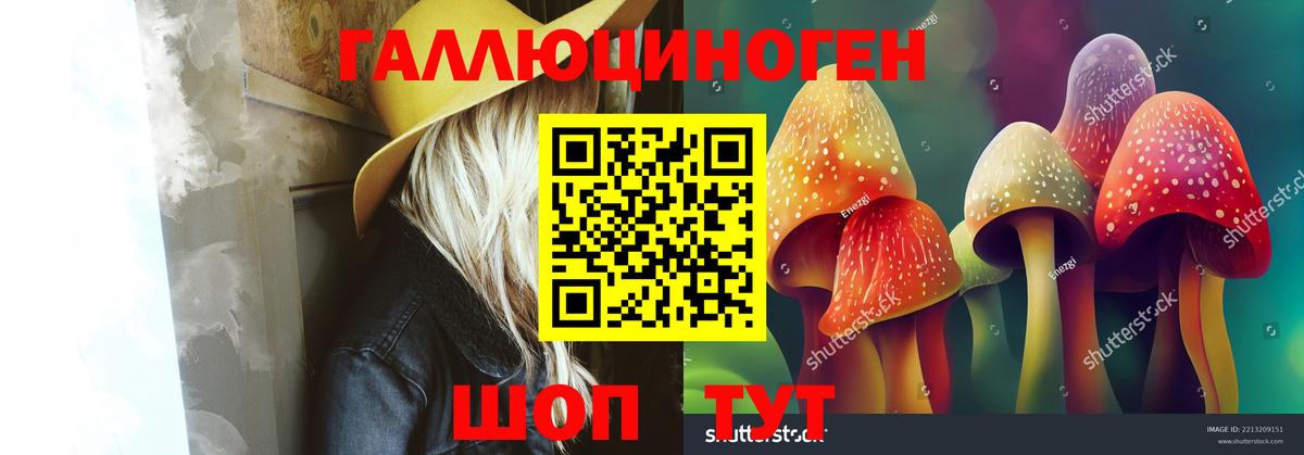 Ачинск  Псилоцибиновые грибы Psilocybine cubensis  Вход с VPN 
